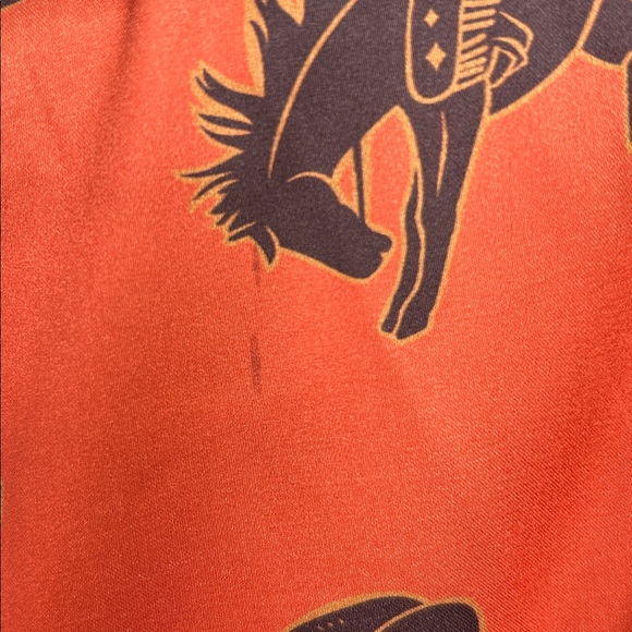 Louche Orange Cactus Print Long Sleeve Dress - Picture 3 of 3